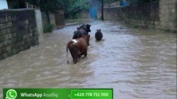 Masallı suyun altında