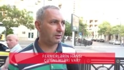 Fermerlərin hansı problemləri var?